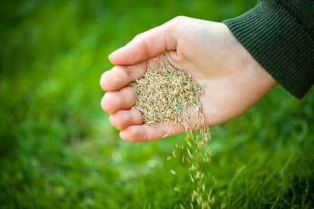 Learn More About Hydroseeding